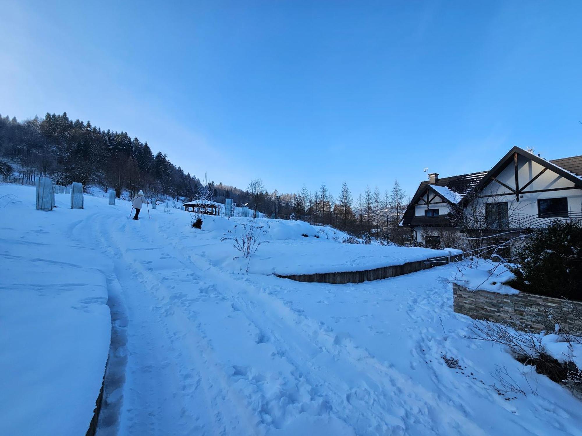 シュツァブニツァ Otulina Park Bed & Breakfast エクステリア 写真