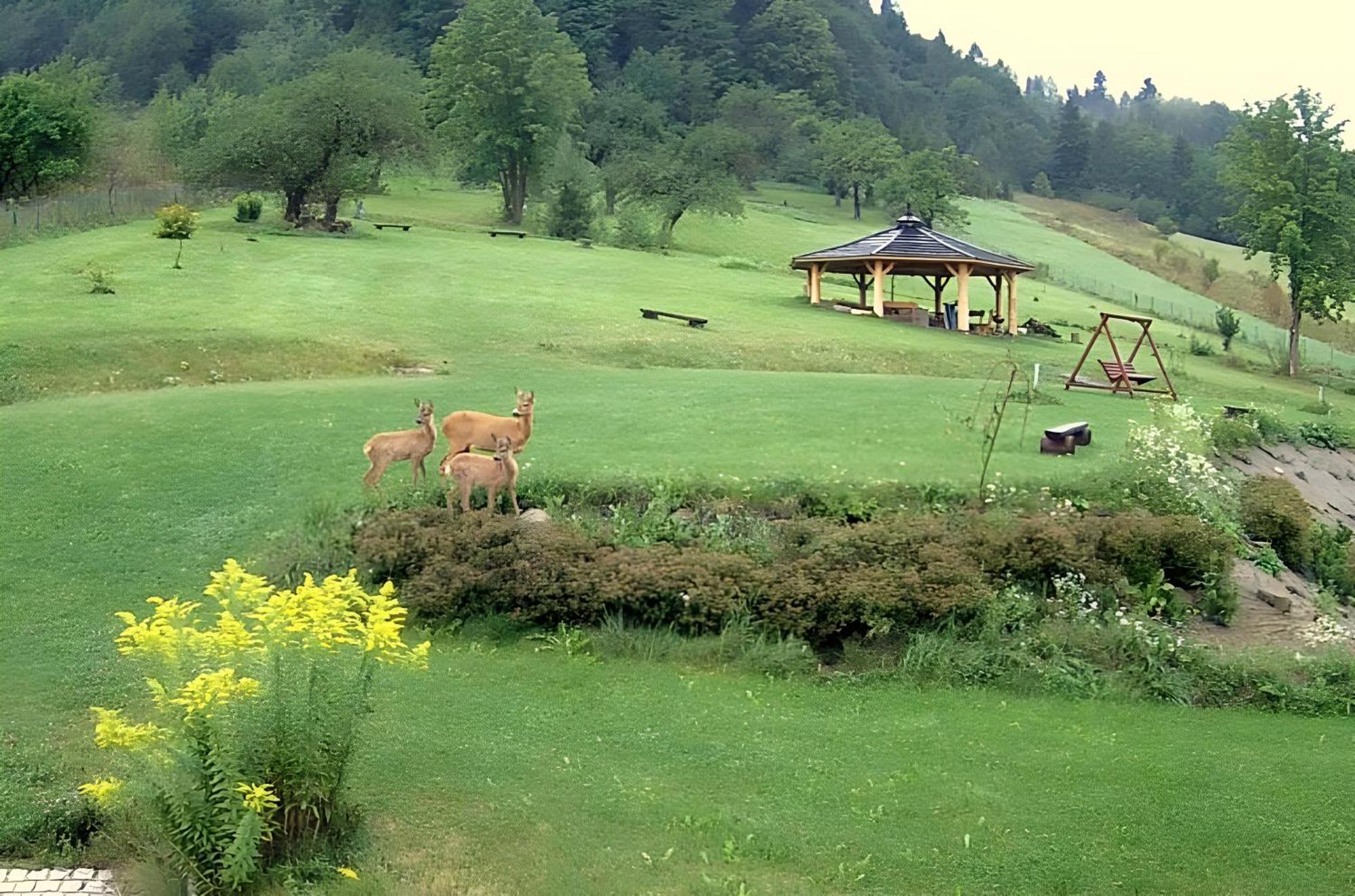 シュツァブニツァ Otulina Park Bed & Breakfast エクステリア 写真
